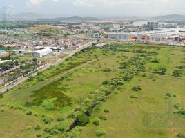  Land for sale in Samborondon, Guayas, Samborondon, Samborondon