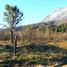  Land for sale in Cushamen, Chubut, Cushamen, Chubut