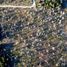  Land for sale in Cushamen, Chubut, Cushamen, Chubut