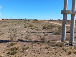  Land for sale in Neuquen, Confluencia, Neuquen