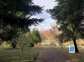  Land for sale in Neuquen, Lacar, Neuquen