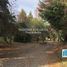  Land for sale in Neuquen, Lacar, Neuquen