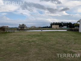  Land for sale in San Vicente, Buenos Aires, San Vicente