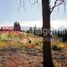  Land for sale in Rio Negro, Bariloche, Rio Negro