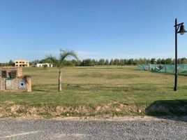  Land for sale in La Plata, Buenos Aires, La Plata