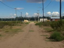  Land for sale in Neuquen, Confluencia, Neuquen