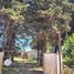 1 Bedroom House for sale in Chacabuco, Buenos Aires, Chacabuco