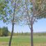  Land for sale in Confluencia, Neuquen, Confluencia