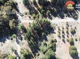  Land for sale in Cushamen Chubut, Cushamen
