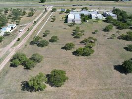  Land for sale in Colon, Entre Rios, Colon