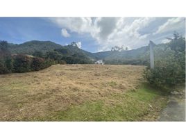 Grundstück zu verkaufen in Abejorral, Antioquia, Abejorral