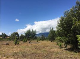  Terreno (Parcela) en venta en Villa De Leyva, Boyaca, Villa De Leyva