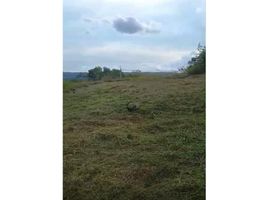  Land for sale in Tolima, Melgar, Tolima