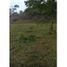  Land for sale in Tolima, Melgar, Tolima