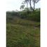  Land for sale in Tolima, Melgar, Tolima