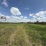  Land for sale in Quimbaya, Quindio, Quimbaya