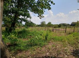  Terreno (Parcela) en venta en Arjona, Bolivar, Arjona