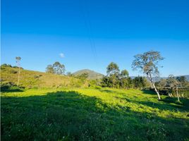  Terreno (Parcela) en venta en La Ceja, Antioquia, La Ceja