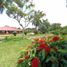 13 Bedroom Villa for sale in Santander De Quilichao, Cauca, Santander De Quilichao