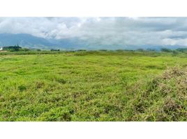  Land for sale in El Cerrito, Valle Del Cauca, El Cerrito