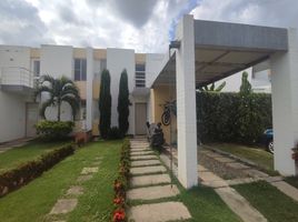 4 Habitación Casa en venta en Puerto Tejada, Cauca, Puerto Tejada