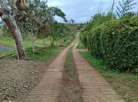  Terreno (Parcela) en venta en Valle Del Cauca, Cali, Valle Del Cauca