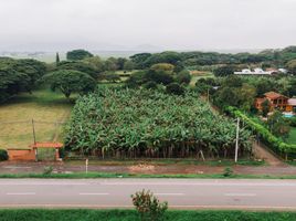  Terreno (Parcela) en venta en Palmira, Valle Del Cauca, Palmira