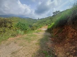  Terreno (Parcela) en venta en Pradera, Valle Del Cauca, Pradera