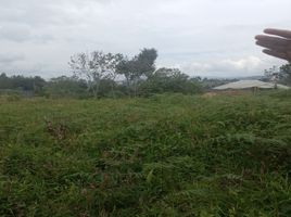  Land for sale in El Carmen De Viboral, Antioquia, El Carmen De Viboral