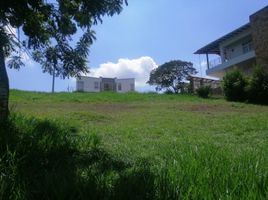  Land for sale in Jamundi, Valle Del Cauca, Jamundi