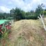  Land for sale in Dagua, Valle Del Cauca, Dagua, Valle Del Cauca, Colombia