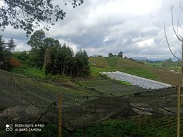  Terreno (Parcela) en venta en Marinilla, Antioquia, Marinilla