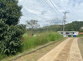  Land for sale in Jamundi, Valle Del Cauca, Jamundi