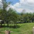  Land for sale in La Cumbre, Valle Del Cauca, La Cumbre