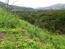  Terrain for sale in Anapoima, Cundinamarca, Anapoima