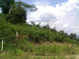  Land for sale in Anapoima, Cundinamarca, Anapoima