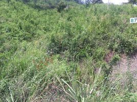  Land for sale in Anapoima, Cundinamarca, Anapoima