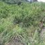  Land for sale in Anapoima, Cundinamarca, Anapoima