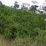  Land for sale in Anapoima, Cundinamarca, Anapoima