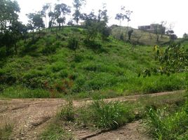  Terrain for sale in Anapoima, Cundinamarca, Anapoima