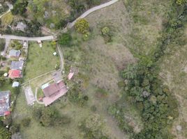  Land for sale in La Cumbre, Valle Del Cauca, La Cumbre