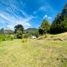  Land for sale in La Ceja, Antioquia, La Ceja