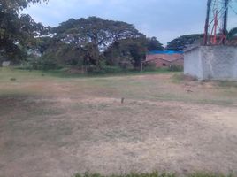  Land for sale in Palmira, Valle Del Cauca, Palmira