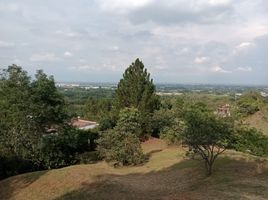  Terreno (Parcela) en venta en Jamundi, Valle Del Cauca, Jamundi