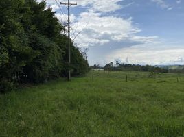  Terreno (Parcela) en venta en Quindio, La Tebaida, Quindio