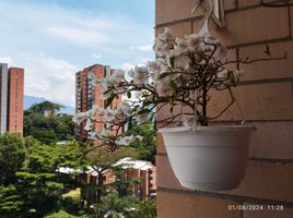 3 Habitación Apartamento en venta en Antioquia, Envigado, Antioquia