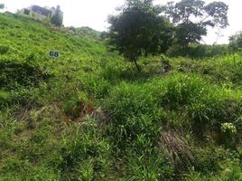  Terreno (Parcela) en venta en Anapoima, Cundinamarca, Anapoima