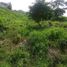  Land for sale in Anapoima, Cundinamarca, Anapoima