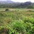  Land for sale in Anapoima, Cundinamarca, Anapoima