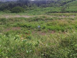  Terrain for sale in Anapoima, Cundinamarca, Anapoima